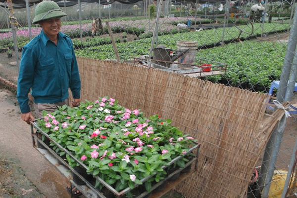Xét tuyển 2020:  Cánh cửa hẹp cho thí sinh xét tuyển bổ sung vào trường top đầu (Ngày 12/10/2020)
